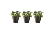 3x Northcote Pottery Leonard 20x18cm Self Watering Plant Pot Garden Decor Black