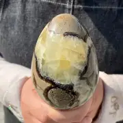 1.57LB Natural Dragon Septarian Quartz Egg Cluster Crystal Healing G5161
