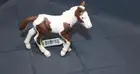 TINKER FOAL Schleich Toy Horse 13295 NEW RETIRED Free Shipping
