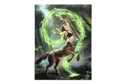 Anne Stokes Earth Elemental Sorceress Canvas Plaque (Green/Black/Brown) (25cm x 19cm)