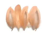 1/4 Lb - Peach Goose Nagoire Wholesale Feathers Bulk Costume Supply Wedding Wing