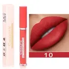 Matte Lip Gloss Long Lasting Liquid Lipstick Non-stick Cup Lip Glaze Make /