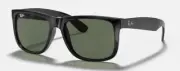 Ray Ban RB4165 JUSTIN Black/G15 Lenses (601/71) 54-16-145