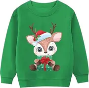 [LXKA] Kids Halloween Jumper Boys Girls Unisex Glow in the Dark Skeleton Dinosaur Pumpkin Sweatshirt Toddler Clothes Halloween Tops Children Long Sleeve 100% Cotton Crewneck Winter Outfits 1-7 Years