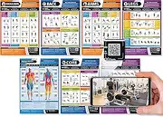 Gym and Muscle Building Exercise Workout Posters - Set of 7 Fitness Posters | Laminated Exercise Posters | 594mm x 420mm (A2) | Shoulders, Back, Chest, Arms, Legs, Core