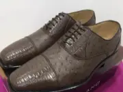 Mens Dress Shoes Bolano Brown,croc,ostrich print man made Lace Up,new With Tags.