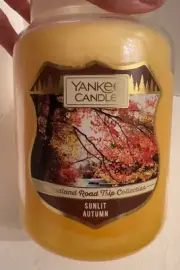 Yankee Candle Sunlit Autumn 22oz Large Jar NEW
