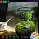 桃園出貨🔰【破損包賠】生態瓶 微景觀生態瓶 盆栽生態瓶 微景觀玻璃瓶 廠傢直供生態瓶生命之樹創意桌麵微景觀