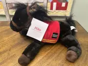 WELLS FARGO Legendary Plush Soft Legendary 14" Horse Pony MIKE Black 2016 w/ Tag