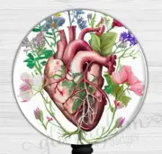 Anatomical Heart Badge Holder, Heart Badge Reel, Medical Heart Retractable 6578