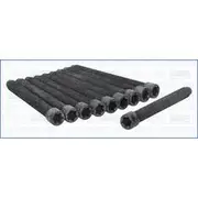 Austral Cylinder Head Bolt Set - 81017200
