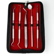 Dental Stainless Steel Scraper Mirror Scaler Tartar Calculus Plaque Remover Tool