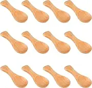 12Pcs Small Spoons 3.15inch Mini Condiments Salt Spoons Reusable Mini Tasting Spoons Multifunction Little Spoons Set Lightweight Tiny Spoons for Salt Sugar Honey(Ⅱ)