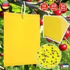 Fruit Fly Trap Yellow Sticky Gnat Traps Killer for Indoor Outdoor Flying Plant