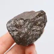 63g Chondrite Meteorite,NWA unclassified Meteorite From Northwest Africa R1893