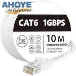 【AHOYE】CAT6乙太網路線 1GBPS/1000MBPS 10M(NAS伺服器)