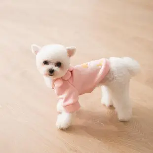 小狗狗衣服可愛彩虹春季薄款透氣寵物兩腳衣幼犬比熊博美貓咪衛衣