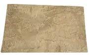 Eucalyptus Pommele wood veneer sheet 15" x 9" on paper backer 1/40" thickness
