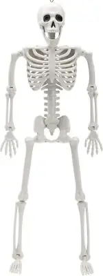 1PCS 16" Halloween Posable Skeleton Decorations Full Body Haunted Figurine Scary