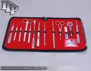 5 Kits Human Animal Anatomy Dissecting STUDENT Biology