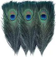 Bulk Natural Peacock Feathers-15Pcs 10-12In (25-30 Cm),Long Peacock Feathers for
