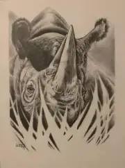 Original pencil drawing Set Of African Lion, Rhino, Elephant, Leopard, Buffalo