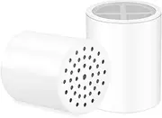 iReijomoi 20-Stage Shower Filter (2-Pack), Compatible with Aquabliss SF100/SF220, Premium Quality, Hard Water Filter Cartridge Replacement