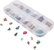Gogogmee Natural Shell Nail Art Charms Abalone Shell Decorations for Manicure Supplies Durable Nail Gems for Home Professional Use Creative and Unique Nail