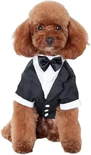 Dog Tuxedo, Dog Wedding Dress with Bow Formal Dog Tux Pet Wedding Party Birthday Costume (Black, M)