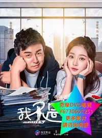 在飛比找Yahoo!奇摩拍賣優惠-DVD 專賣 我不是精英 大陸劇 2017年