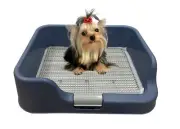 [PS KOREA] Indoor Dog Potty Tray – with Protection Wall Every Side for No
