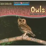 OWLS ARE NIGHT ANIMALS