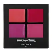 BYS Lip Colour 4g Lipstick Palette w/ Brush Lip Makeup Cosmetics Pink A Pout It