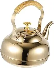 PRETYZOOM Stainless Steel Teapot with Strainer Household Kettle for Home Office Use Lightweight Design Comfortable Handle for Safe Pouring for Family Tea Brewing