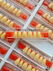 Acrylic Resin False Teeth Accutone Anterior Upper A3.5/81-223 dentures box 120ps