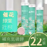 在飛比找蝦皮購物優惠-買5送1  碗蓮專用肥料 碗蓮肥 睡蓮專用肥 荷花肥料 蓮花