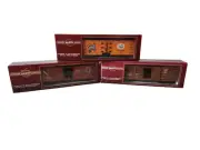 Bachmann Big Haulers G Scale Southern & Northern Pacific, & Garden Railway Train