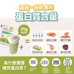 【聯華食品 KGCHECK】蛋白飲-抹茶拿鐵口味(43gx6包) 3盒組