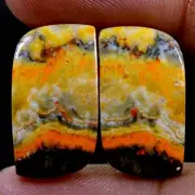 21.70 Cts Natural Bumble Bee Jasper 11X21 mm Cabochon Pair For Earring Gemstone