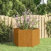 Raised Garden Bed, Elevated Planter Box Plant Container Rusty 60x60x45 cm Corten Steel