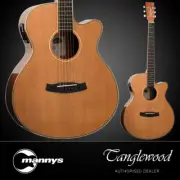 Tanglewood TW9 Winterleaf Folk Acoustic Guitar w/ Cutaway & Pickup