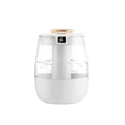 Anorina 1300ml Aroma Humidifier Double Spray Port USB Water Humidifier with Light