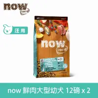 在飛比找Yahoo奇摩購物中心優惠-Now! 鮮肉無穀天然糧 大型幼犬/懷孕犬配方 12磅 兩件