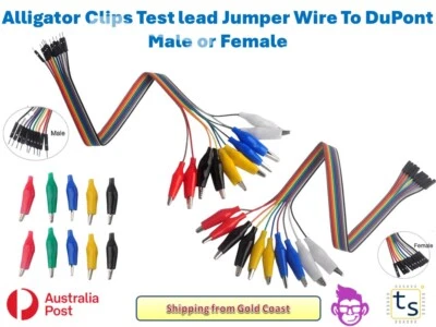 Alligator Clips Test lead Jumper Wire To DuPont 10Pcs Male or Female Connector