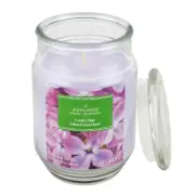 Scented Jar Candle Lush Lilac 17oz Long Lasting Fragrance