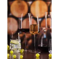 在飛比找ETMall東森購物網優惠-捷克進口洛娜RONA波爾多紅酒杯高腳杯水晶玻璃香檳杯輕薄北極