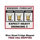 373 - Funny Beer Drinking Saying Refrigerator Fridge Magnet
