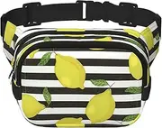Blue Stripe And Lemon Square Double-Layer Waist Bag Mini Adjustable Waist Belt Bag Exercise Running Travel Hiking, Black, One Size