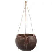 Coconut Shell Hanging Flower Pot Baskets for Plants Indoor Wall Planter