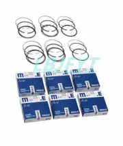 6x Piston Rings Set Φ81mm For Audi A4 A6 VW Jetta Golf BVD APB B6 4B2 2.4L